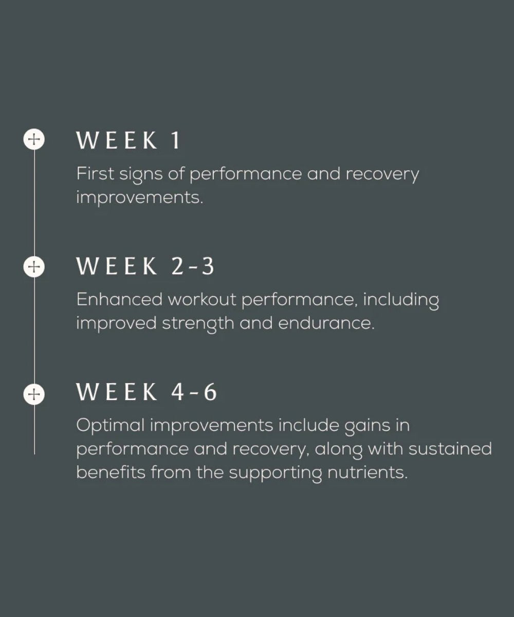 Ancient + Brave True Creatine+