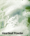 Anua Heartleaf Quercetinol Pore Deep Cleansing Foam
