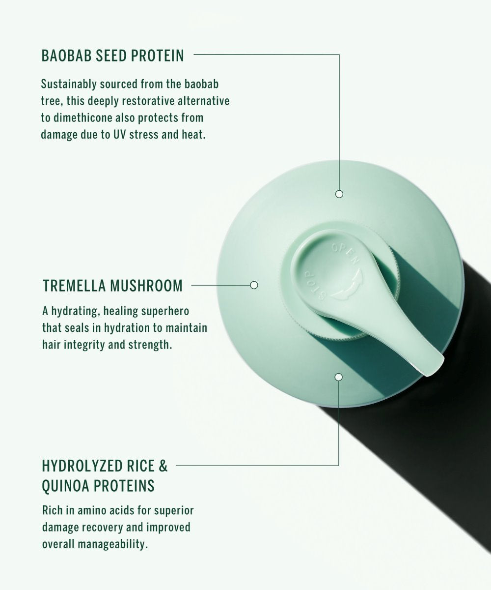 CORPUS Naturals Corpus Naturals Conditioner Cypress