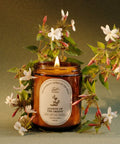 Dastaangoi Jasmine of the Orient Scented Candle