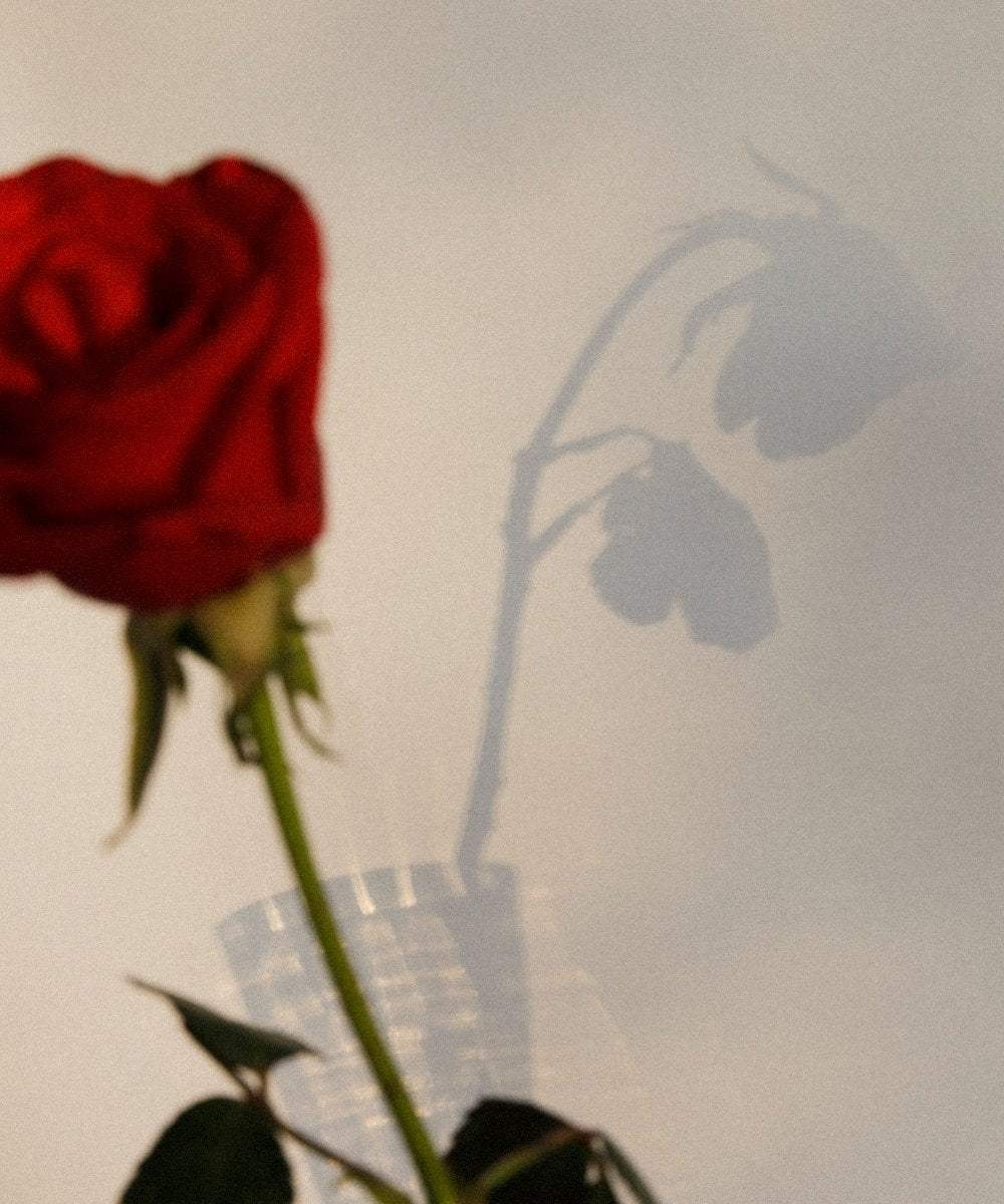 Dastaangoi Roses of the Mughal Empire Scented Candle