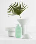 HAAN Purifying Verbena Hand Soap