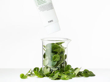 Spotlight on Centella: what are the skincare benefits of Centella Asiatica?