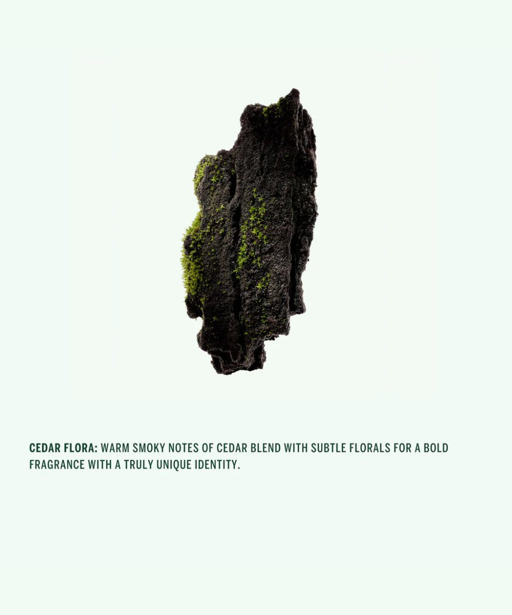 CORPUS Naturals Spray Deodorant - Cedar Flora 