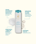 HoliFrog Galilee Antioxidant Dewy Drop 