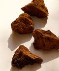 LOAM Chaga Organic Extract Powder 