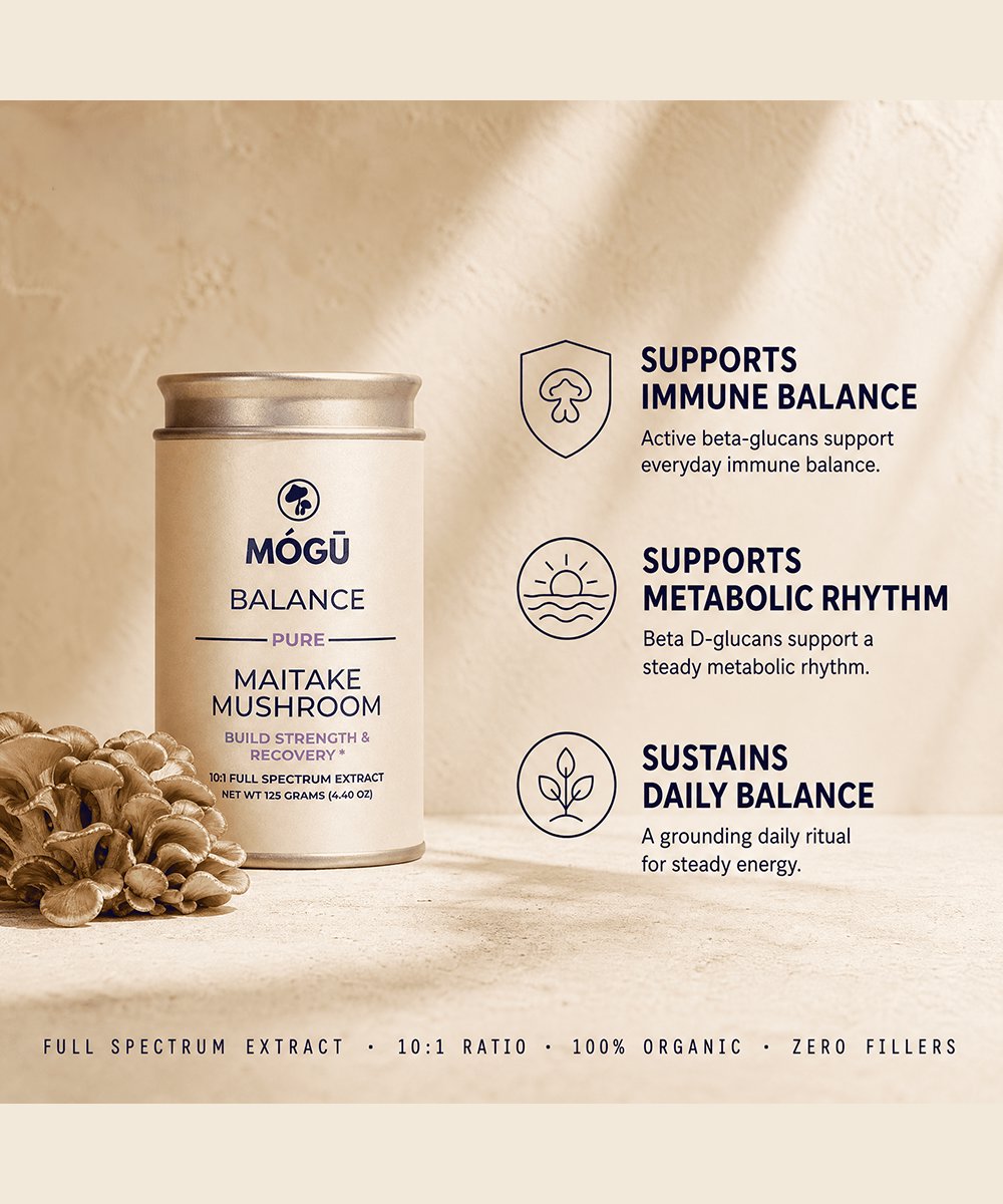 Mogu Mushrooms Balance Organic Maitake Mushroom 