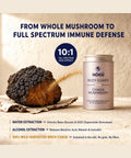 Mogu Mushrooms Body Guard Organic Chaga Mushroom 