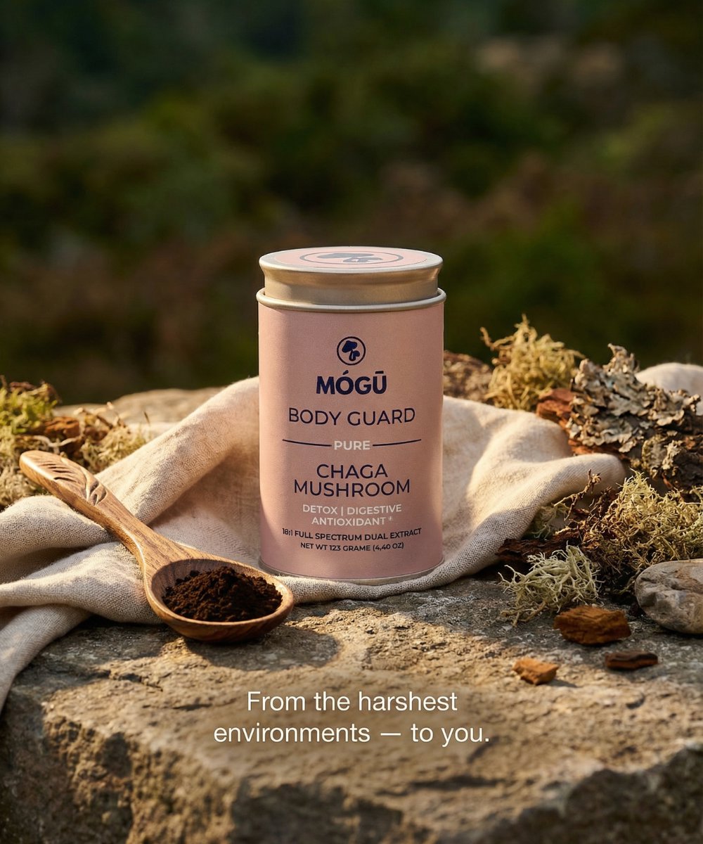 Mogu Mushrooms Body Guard Organic Chaga Mushroom 
