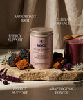 Mogu Mushrooms Body Guard Organic Chaga Mushroom 