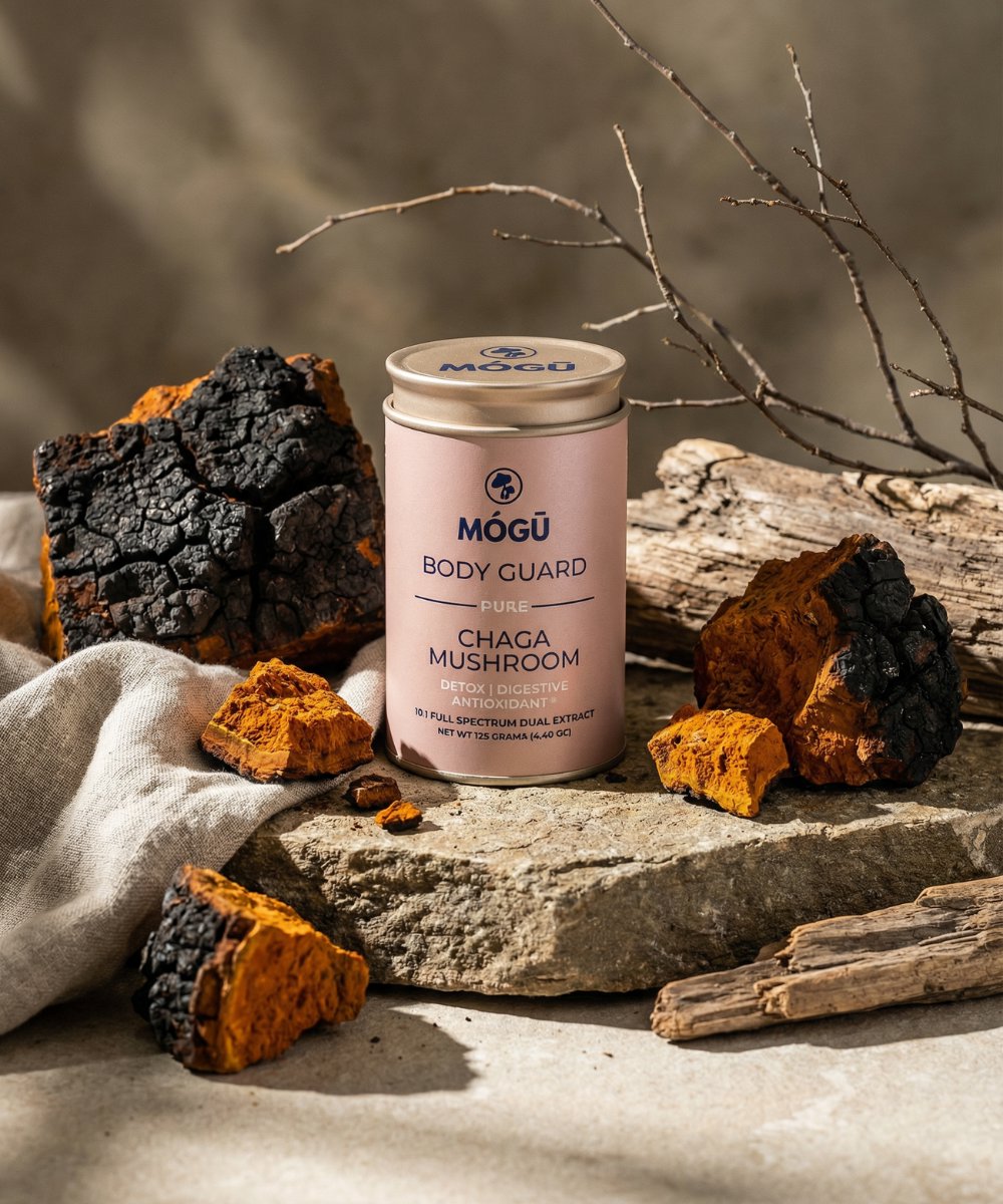 Mogu Mushrooms Body Guard Organic Chaga Mushroom 