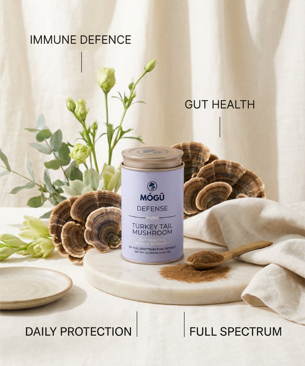 Mogu Mushrooms Defense Organic Turkey Tail Mushroom 