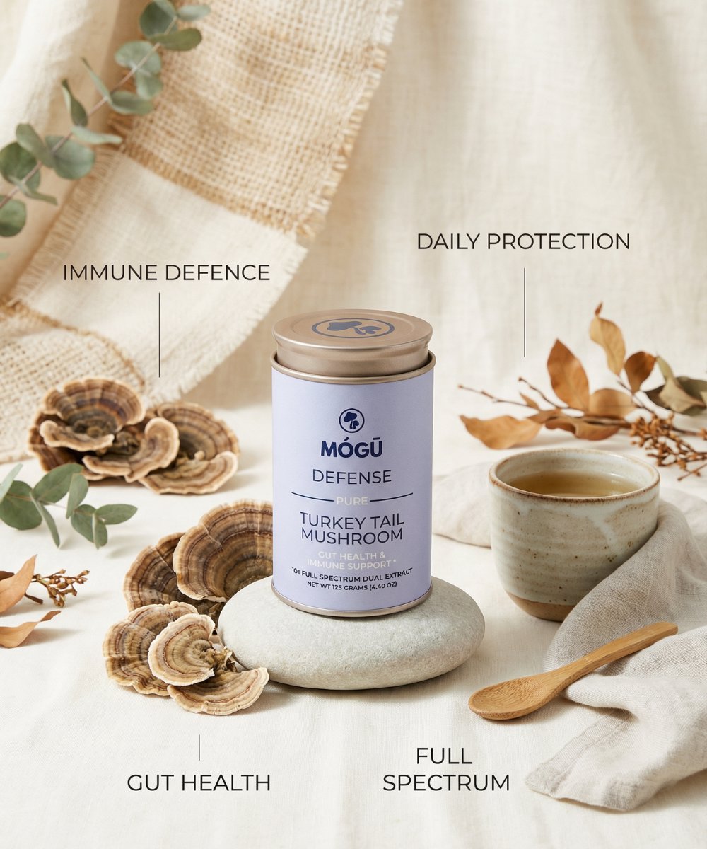 Mogu Mushrooms Defense Organic Turkey Tail Mushroom 