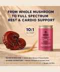 Mogu Mushrooms Longevity Organic Reishi Mushroom 