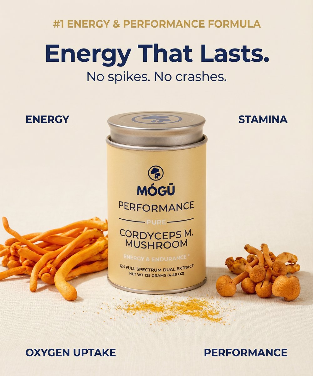 Mogu Mushrooms Performance Organic Cordyceps Militaris 