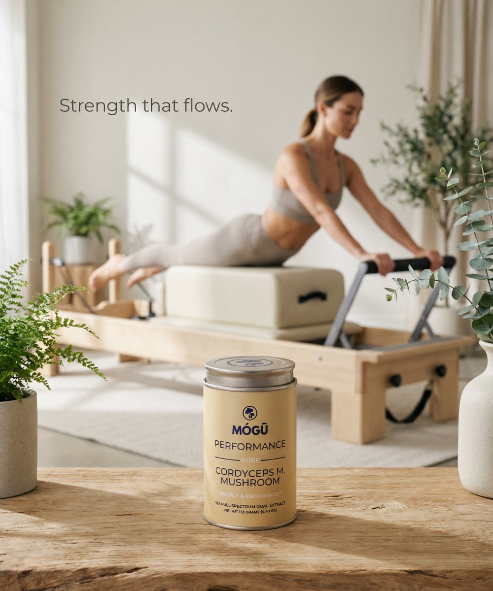 Mogu Mushrooms Performance Organic Cordyceps Militaris 