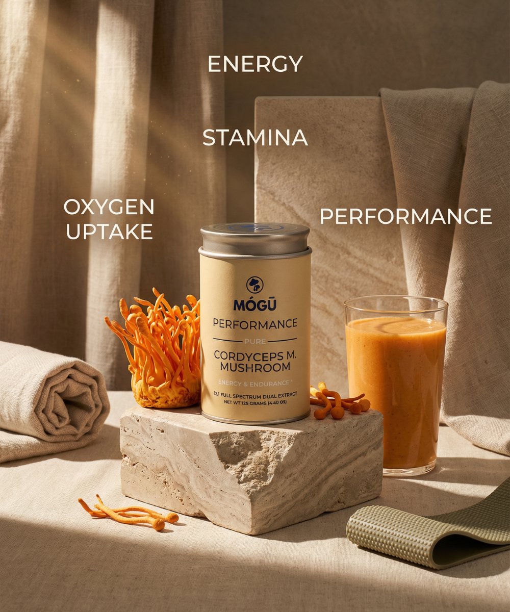 Mogu Mushrooms Performance Organic Cordyceps Militaris 