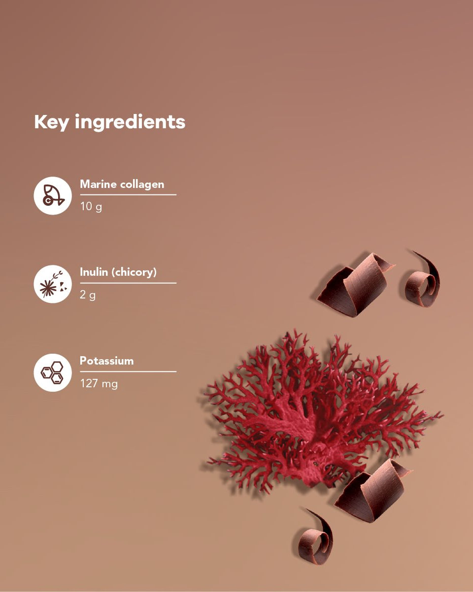 Nutrili Cacao Glow Collagen Peptides 