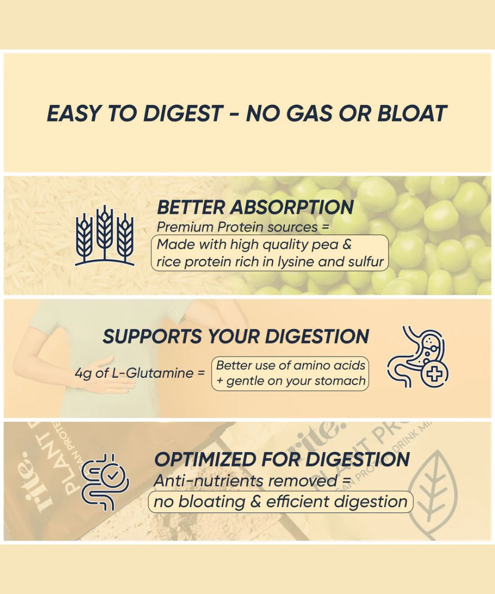 Rite Plant Protein - Chocolate 