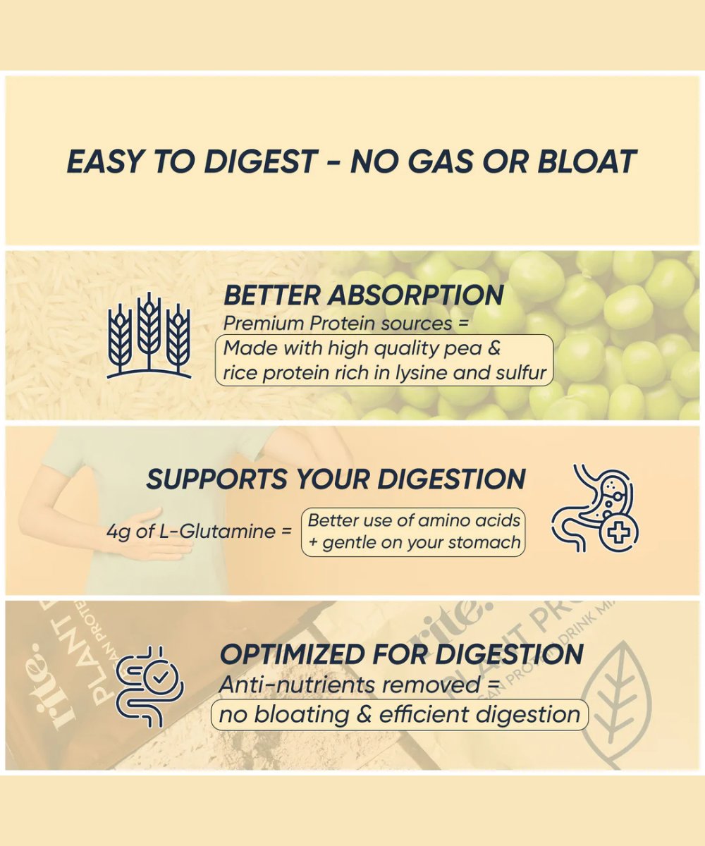 Rite Plant Protein - Vanilla 