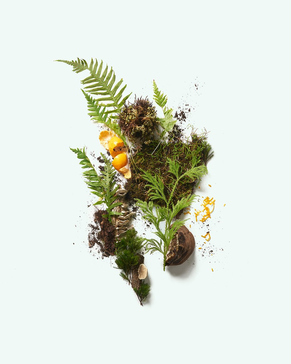 CORPUS Naturals Plant based Deodorant - The Botanist 