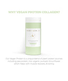 Sacred Glow Co. Vegan Protein - 4 Vegan Proteins - Natural Chocolate Flavour 
